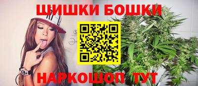 стаф Кингисепп