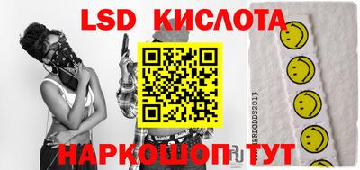 стаф Кингисепп