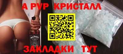 стаф Кингисепп