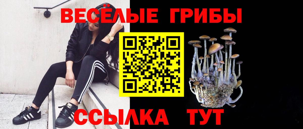как найти закладки  Псилоцибиновые грибы прущие грибы  Вход с VPN  Кимры  Псилоцибиновые грибы прущие грибы 