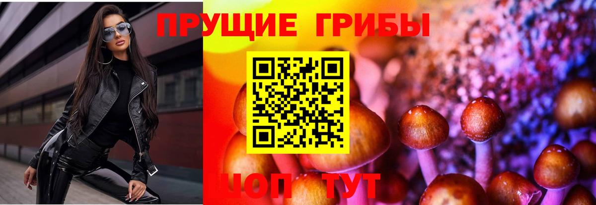 Псилоцибиновые грибы ЛСД Кимры